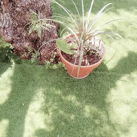 格拉齐亚公寓 公寓